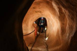 BIB: 
                            <button type="button" onclick="openModal(26241624)" class="btn btn-primary btn-sm float-right btn-popup" data-toggle="modal" data-target=".modal-high-quality">
                        <i class="fas fa-shopping-cart"></i> Add to Cart
                    </button>
                                            <button type="button" onclick="isThisMe(26241624, true)" class="btn btn-success btn-sm float-right btn-popup btn-isme hidden" data-toggle="tooltip" data-placement="bottom" title="นี่คือรูปของคุณใช่ไหม คลิกที่นี่เพื่อเอาเข้าอัลบั้ม">
                        <i class="fas fa-plus"></i> Add to album
                    </button>
                    <button type="button" onclick="isThisMe(26241624, false)" class="btn btn-warning btn-sm float-right btn-popup btn-isnotme hidden">
                        <i class="fas fa-ban"></i> Remove from album
                    </button>